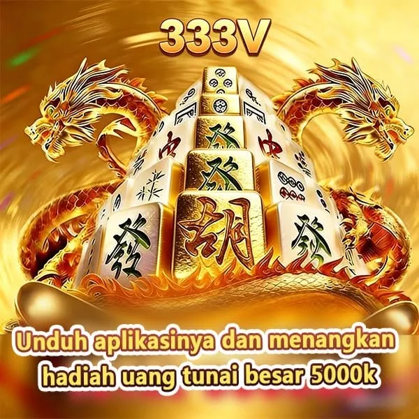333V
